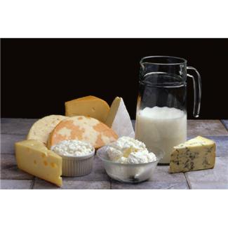 Cheese Liquid Processing