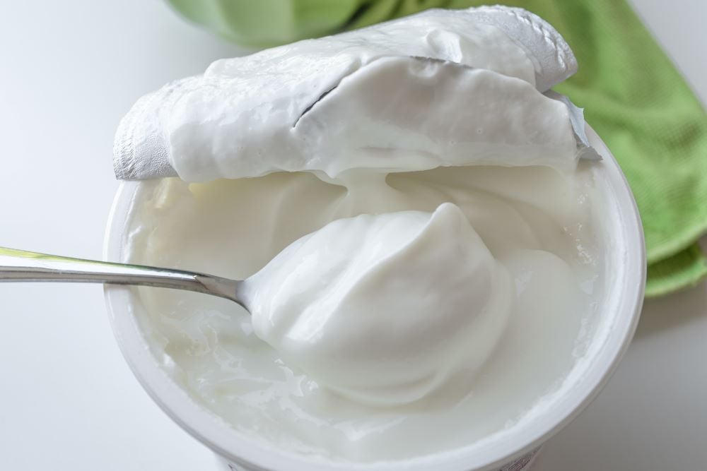 how to manufacture yoghurt how to manufacture yoghurt