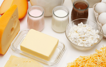Cheese Dairy