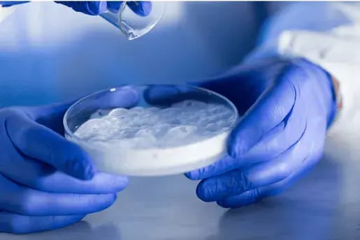 compressed_Cell Culture